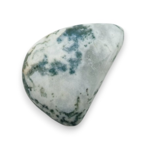 Agat drzewny kaboszon 25x18 mm nr 89 Agat drzewny kaboszon 25x18 mm nr 89
