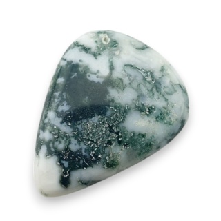 Agat drzewny kaboszon 25x20 mm nr 110