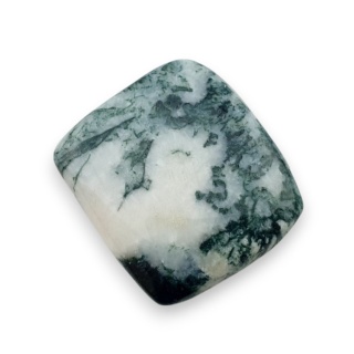 Agat drzewny kaboszon 25x23 mm nr 87