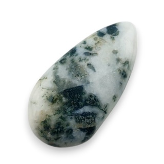 Agat drzewny kaboszon 26x13 mm nr 112