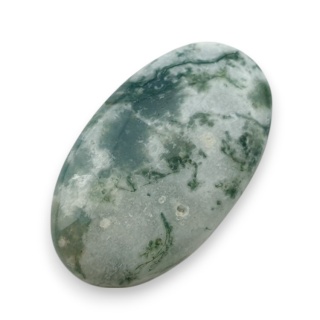 Agat drzewny kaboszon 27x16 mm nr 98