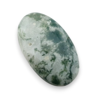 Agat drzewny kaboszon 27x16 mm nr 98