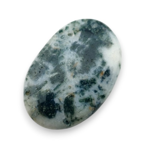 Agat drzewny kaboszon 27x18 mm nr 132 Agat drzewny kaboszon 27x18 mm nr 132