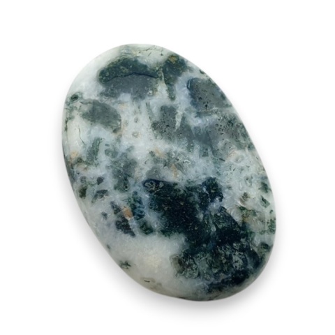 Agat drzewny kaboszon 27x18 mm nr 132 Agat drzewny kaboszon 27x18 mm nr 132