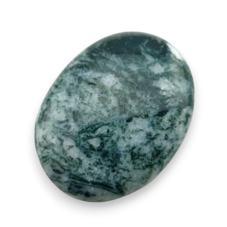Agat drzewny kaboszon 27x21 mm nr 109