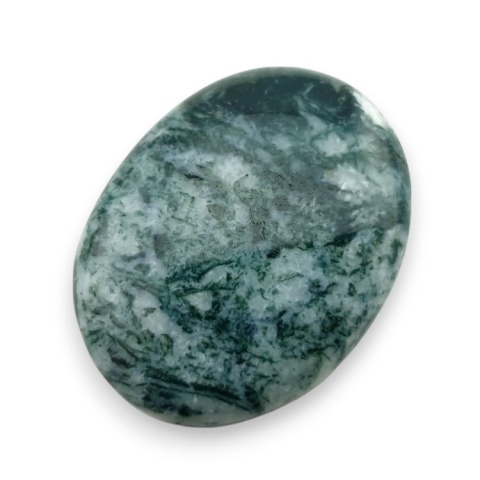 Tree agate cabochon 27x21 mm no 109 Tree agate cabochon 27x21 mm no 109
