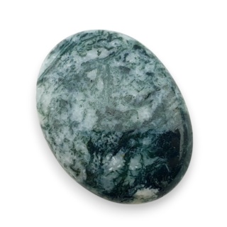Agat drzewny kaboszon 27x21 mm nr 109