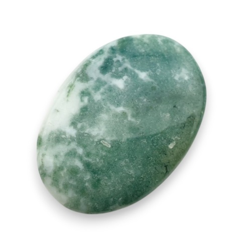 Agat drzewny kaboszon 28x19 mm nr 108 Agat drzewny kaboszon 28x19 mm nr 108