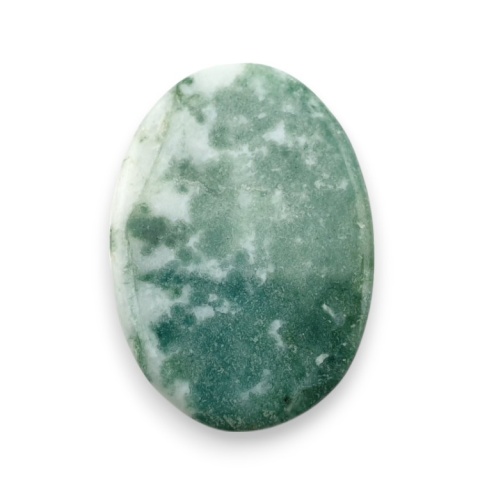 Agat drzewny kaboszon 28x19 mm nr 108 Agat drzewny kaboszon 28x19 mm nr 108