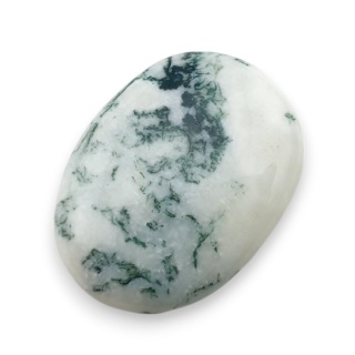 Agat drzewny kaboszon 28x20 mm nr 105