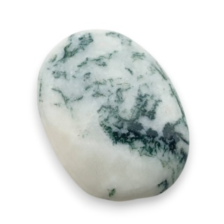 Agat drzewny kaboszon 28x20 mm nr 105