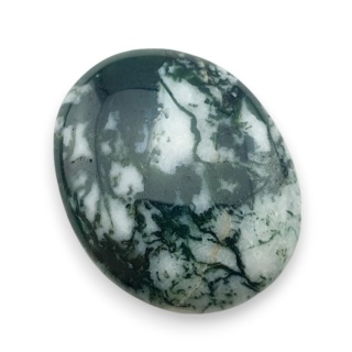 Agat drzewny kaboszon 28x22 mm nr 91