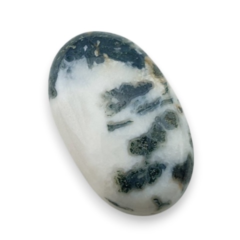 Tree agate cabochon 29x17 mm no 130 Tree agate cabochon 29x17 mm no 130