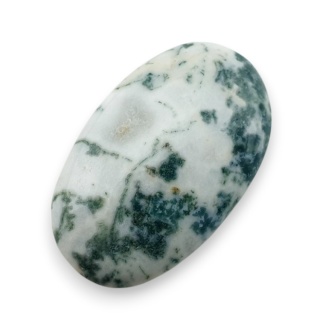 Agat drzewny kaboszon 29x18 mm nr 113