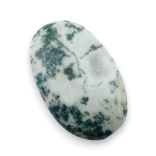 Agat drzewny kaboszon 29x18 mm nr 113
