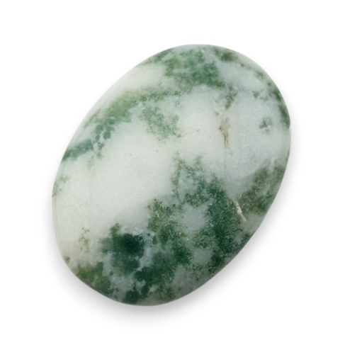 Agat drzewny kaboszon 29x21 mm nr 94