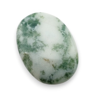 Agat drzewny kaboszon 29x21 mm nr 94