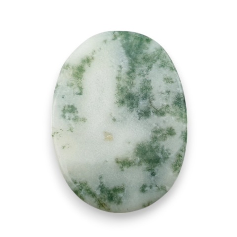 Agat drzewny kaboszon 29x21 mm nr 94