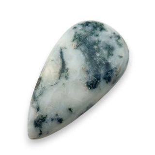 Agat drzewny kaboszon 31x17 mm nr 92