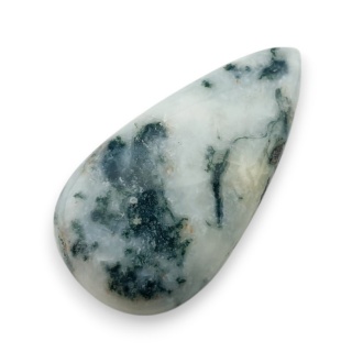 Agat drzewny kaboszon 31x17 mm nr 92