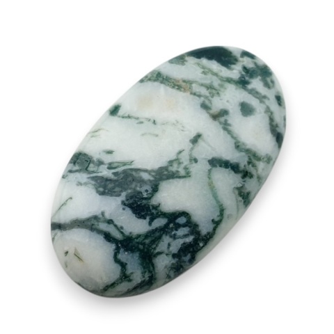 Tree agate cabochon 31x18 mm no 100 Tree agate cabochon 31x18 mm no 100