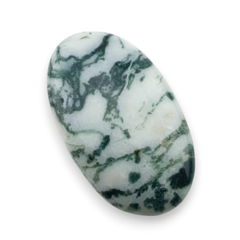 Tree agate cabochon 31x18 mm no 100 Tree agate cabochon 31x18 mm no 100