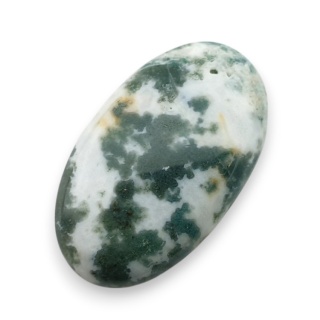 Agat drzewny kaboszon 31x18 mm nr 125