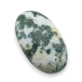 Agat drzewny kaboszon 31x18 mm nr 125