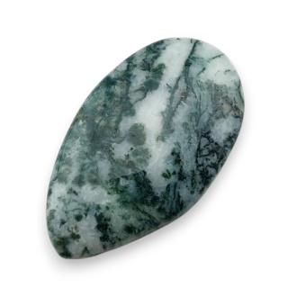 Agat drzewny kaboszon 31x18 mm nr 93