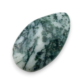 Agat drzewny kaboszon 31x18 mm nr 93