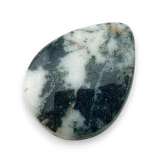 Agat drzewny kaboszon 31x23 mm nr 88