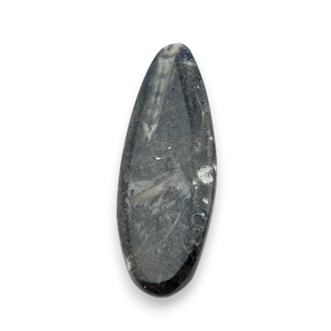 Fossil Orthoceras 46x18 mm nr 15