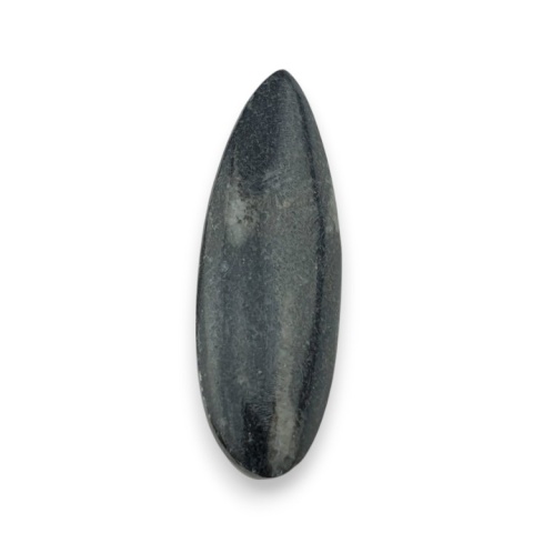 Fossil Orthoceras 50x18 mm no 1 Fossil Orthoceras 50x18 mm no 1