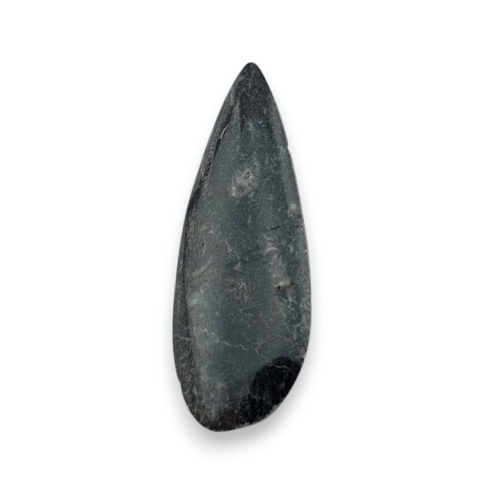 Fossil Orthoceras 50x18 mm no 6
