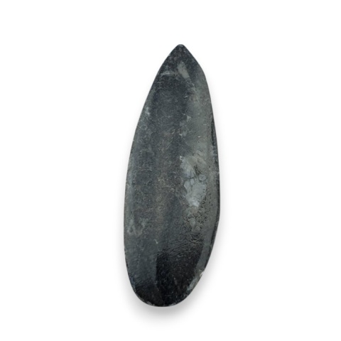 Fossil Orthoceras 51x18 mm no 7 Fossil Orthoceras 51x18 mm no 7