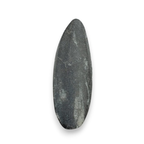 Fossil Orthoceras 54x19 mm no 5 Fossil Orthoceras 54x19 mm no 5