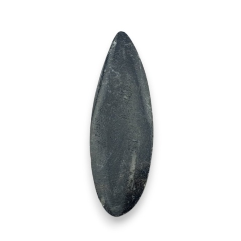Fossil Orthoceras 55x18 mm nr 10 Fossil Orthoceras 55x18 mm nr 10