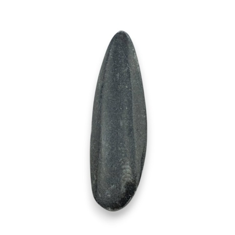 Fossil Orthoceras 56x17 mm no 11 Fossil Orthoceras 56x17 mm no 11