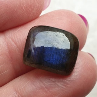 Labradoryt kaboszon 14x12 mm nr B497
