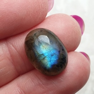Labradoryt kaboszon 16x12 mm nr B489