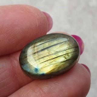 Labradoryt kaboszon 20x14 mm nr B649