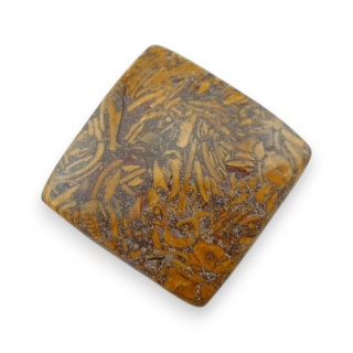 Jaspis mariam kaboszon 25x25 mm nr 84