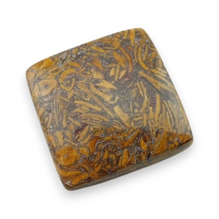 Jaspis mariam kaboszon 25x25 mm nr 84