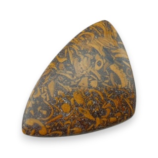 Jaspis mariam kaboszon 35x24 mm nr 53