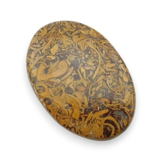 Jaspis mariam kaboszon 35x24 mm nr 57