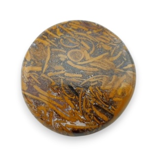Jaspis mariam kaboszon fi 24 mm nr 77