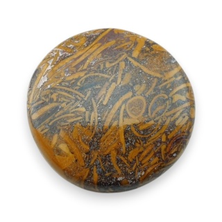 Jaspis mariam kaboszon fi 24 mm nr 77