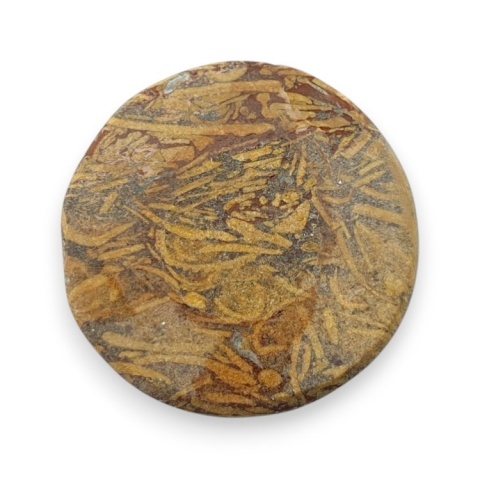 Jaspis mariam kaboszon fi 24 mm nr 77