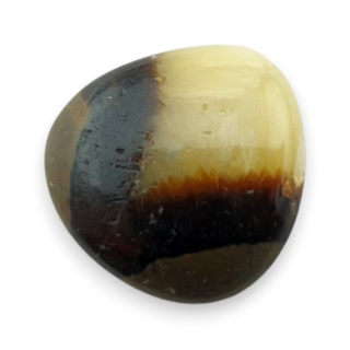 Septaria kaboszon 19x19 mm nr 154