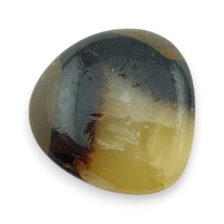 Septaria kaboszon 19x19 mm nr 154